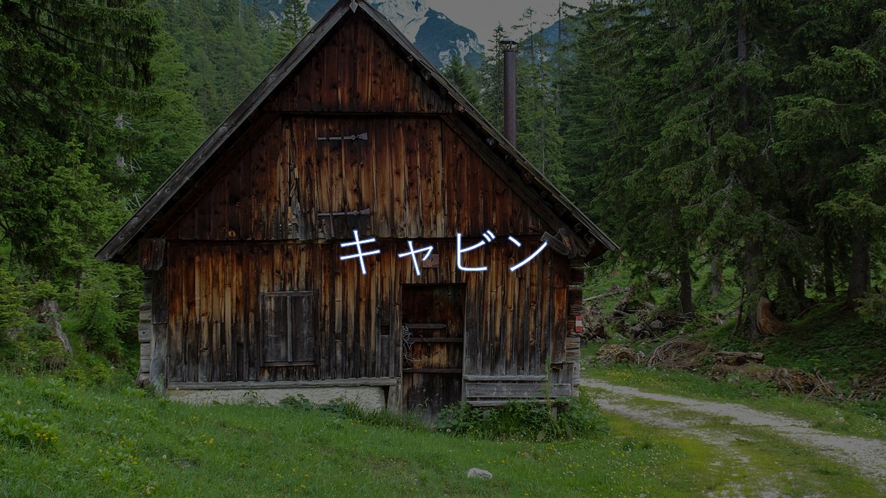 キャビン B級ながらシナリオのアイデア勝ち クリヘム出演 コラム的映画あらすじ評価感想 動画配信 ほげるblog