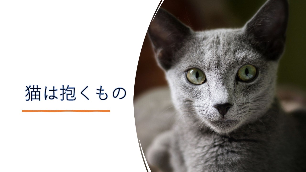 猫は抱くもの 元アイドルとペットの猫を擬人化した斬新な映画 ネタバレあり 動画配信 映画感想あらすじ考察 ほげるblog 猫は抱くもの 元アイドルとペットの猫を擬人化した斬新な映画 ネタバレあり 動画配信 映画感想あらすじ考察 ほげるblog